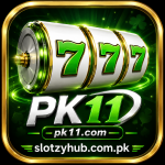 PK11 Game Icon